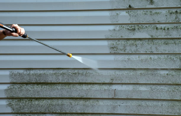 Best Mold Cleaning Services  in West Terre Haute, IN