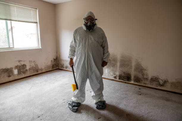 Best Toxic Mold Removal  in West Terre Haute, IN
